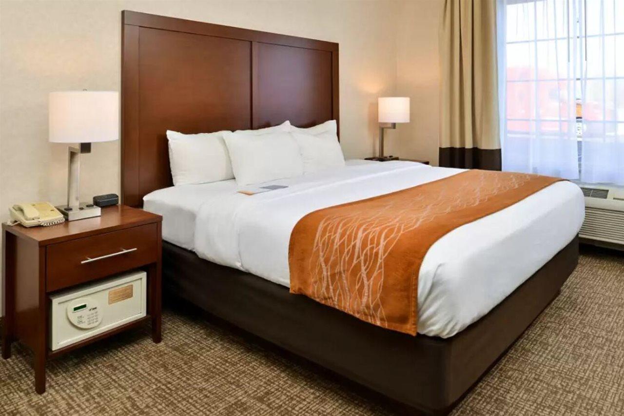 Comfort Inn & Suites Madison North Deforest Exteriör bild