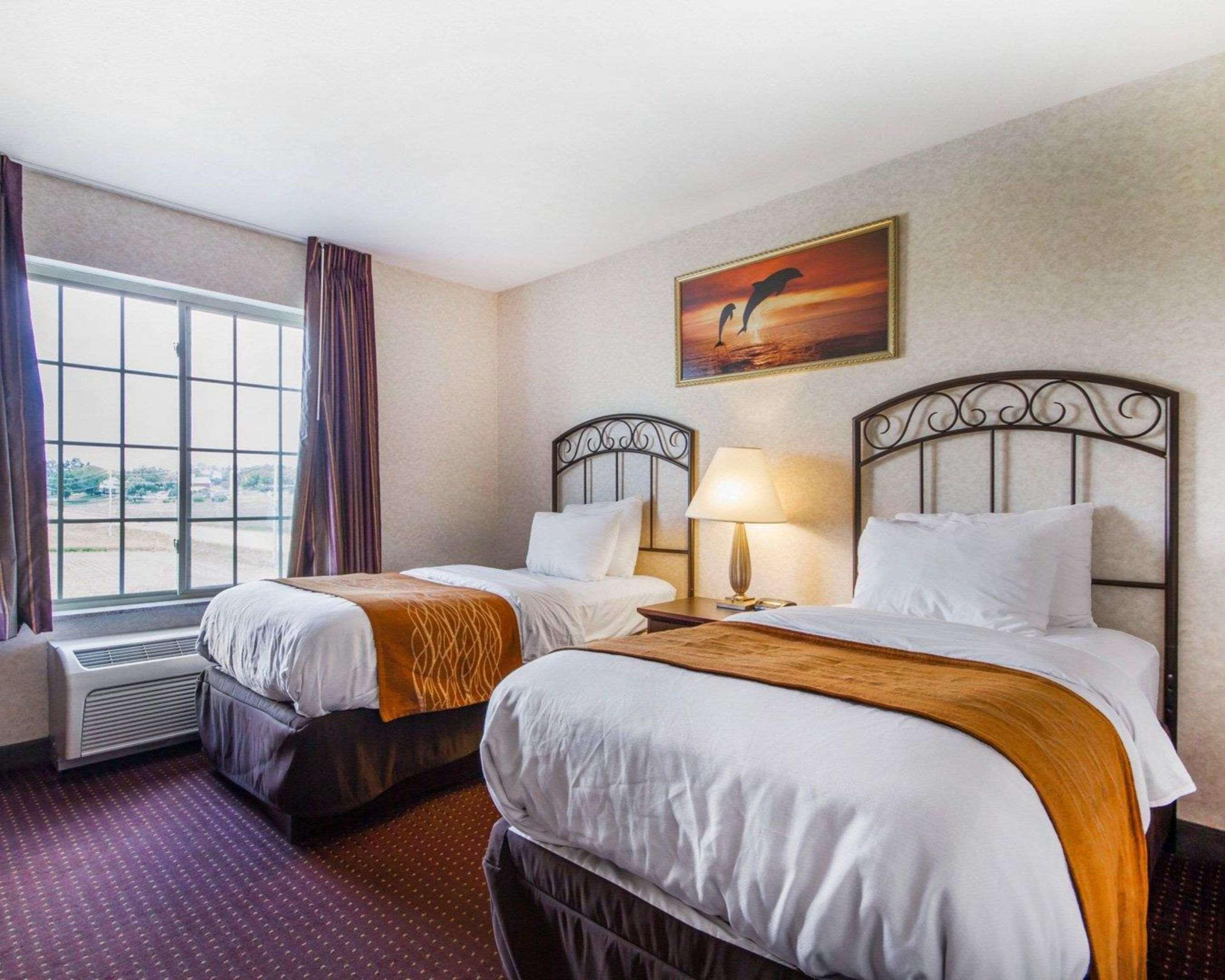 Comfort Inn & Suites Madison North Deforest Exteriör bild