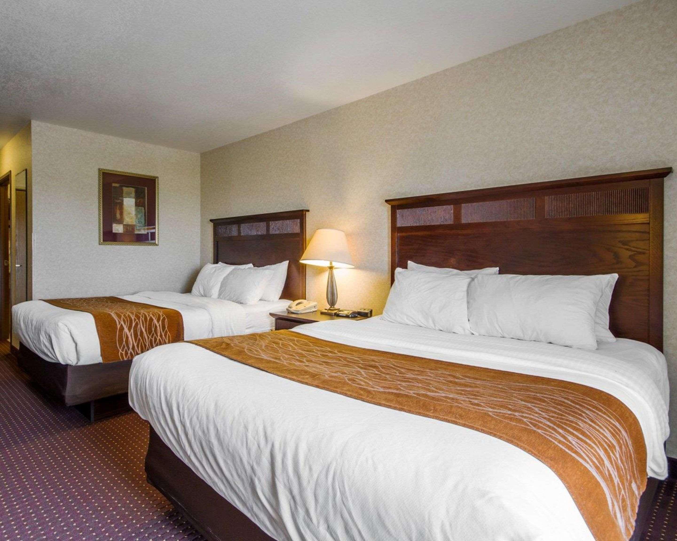 Comfort Inn & Suites Madison North Deforest Exteriör bild